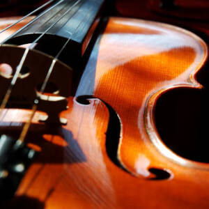 violin/Viola-image-icon