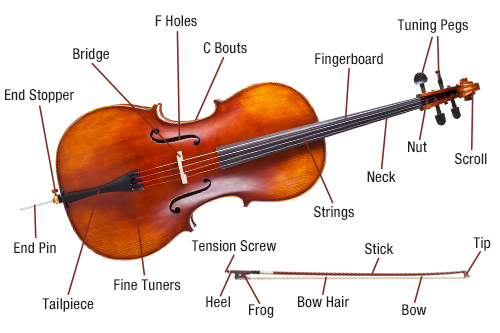 Cello Diagram
